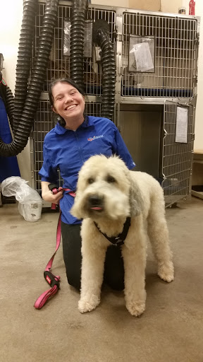 Pet Supply Store «PetSmart», reviews and photos, 1020 Veterans Pkwy #900, Clarksville, IN 47129, USA