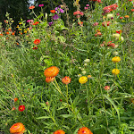 Photo n° 3 de l'avis de Jeremy. fait le 31/08/2021 à 05:58 pour CAMDELAN - La ferme fantastique ! à Saint-Julien-en-Born