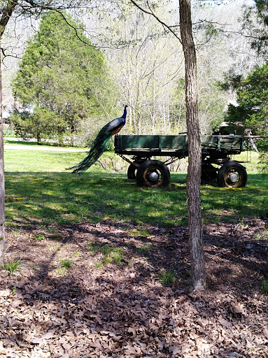 Event Venue «Old Spencer Mill», reviews and photos, 399 Old Spencer Rd, Burns, TN 37029, USA