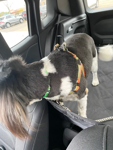 Pet Supply Store «Pet Supplies Plus», reviews and photos, 2928 Hardrock Rd, Fitchburg, WI 53719, USA