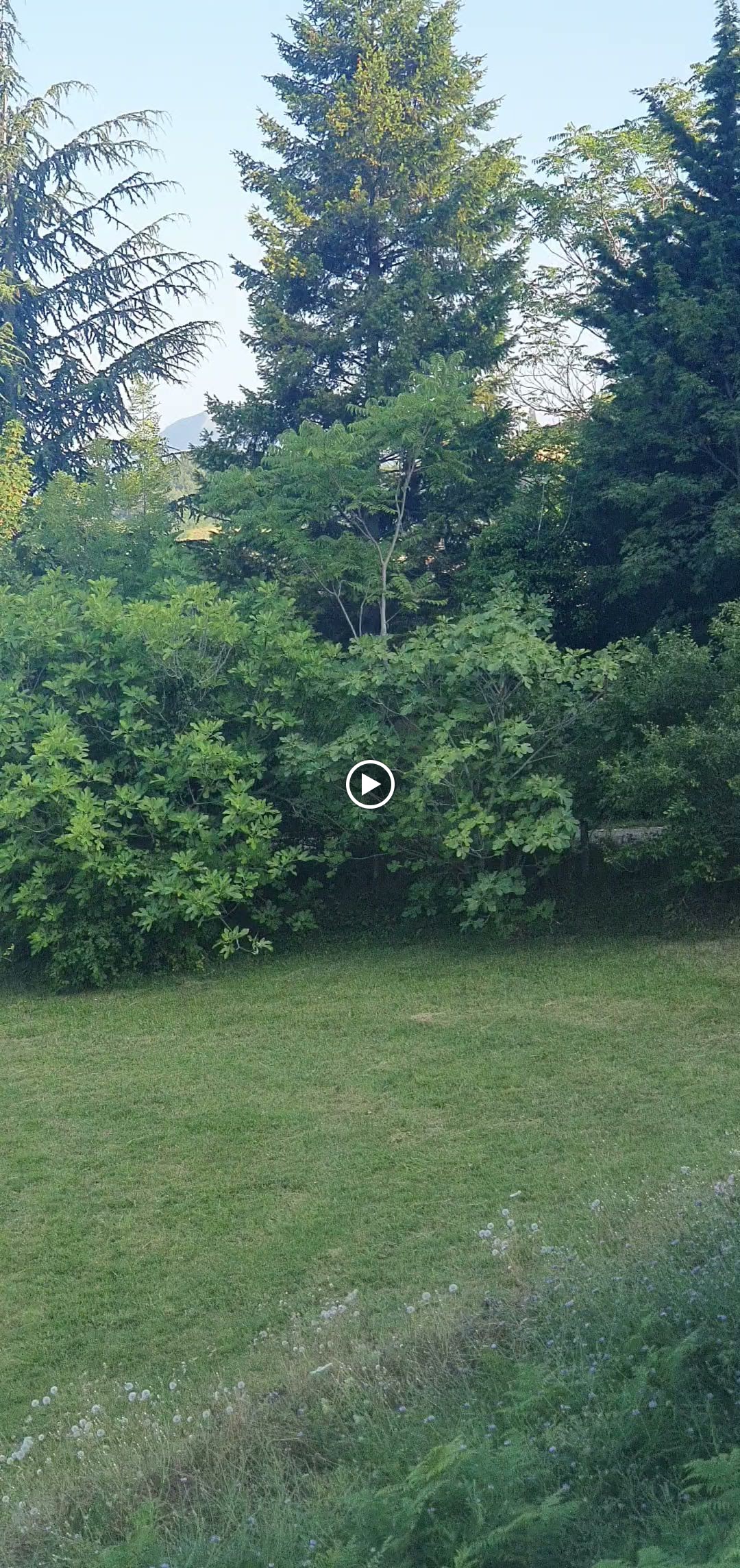 Photo n° 2 de l'avis de Gade. fait le 19/07/2023 à 18:33