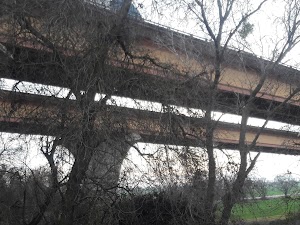 River Fox Train - photo 48