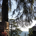 Photo n°1 de l'avis de Manuela.h fait le 12/09/2021 à 07:55 sur le  La Fucina à Cison di Valmarino