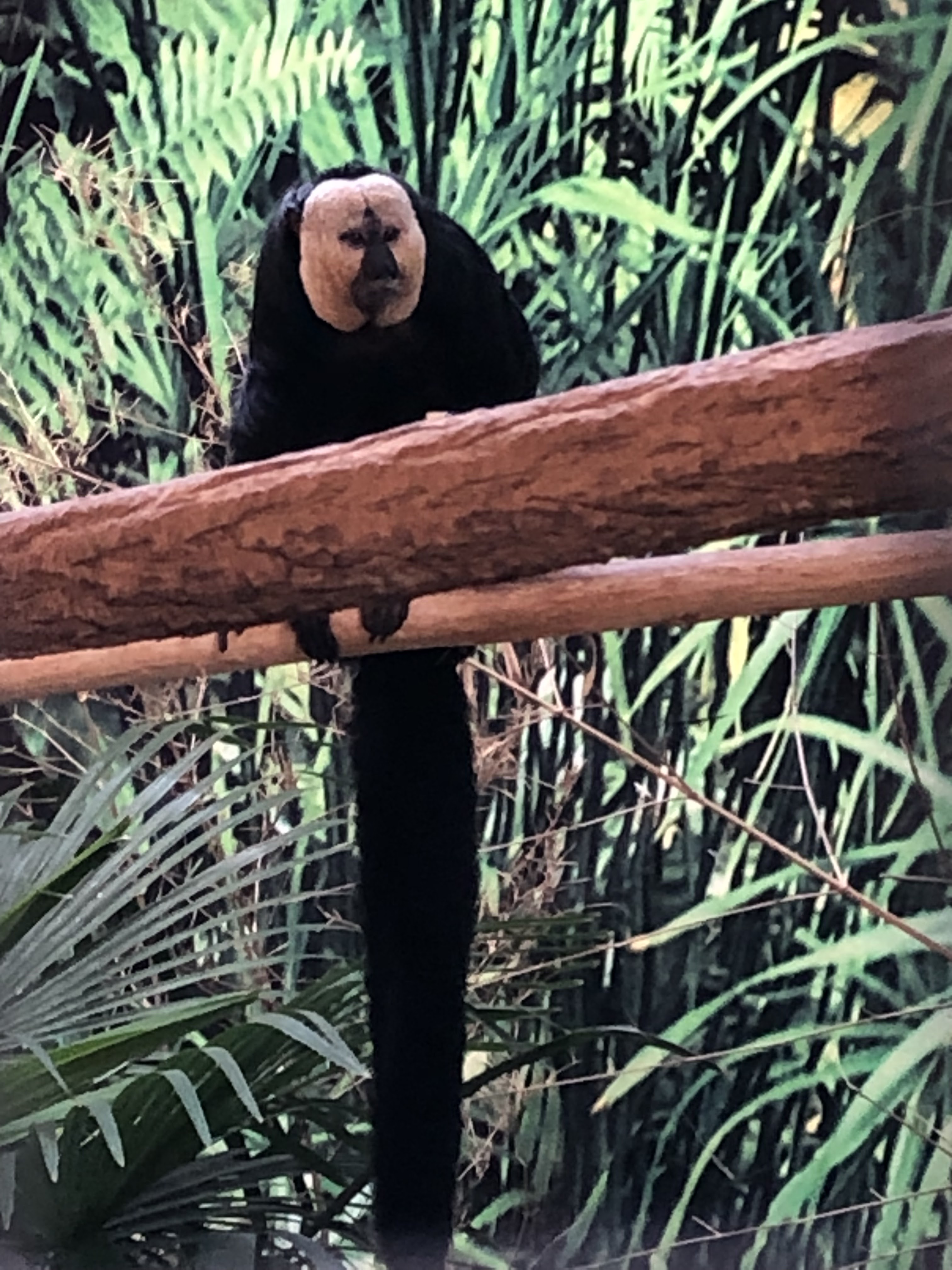 Photo n° 13 de l'avis de yanka.a fait le 20/08/2023 à 10:52