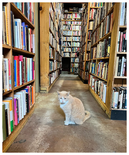 Used Book Store «Kaboom Books», reviews and photos, 3116 Houston Ave, Houston, TX 77009, USA