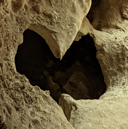 Tourist Information Center «Carlsbad Caverns National Park Headquarters», reviews and photos
