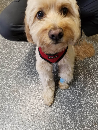 17916 Torrence Ave, Lansing, IL 60438, USA