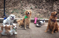 iLove my Dog - Photo 3 - Car repair in , Miami