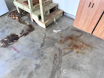 DAS pressure washing services - Photo 1 - Car repair in , Lincoln