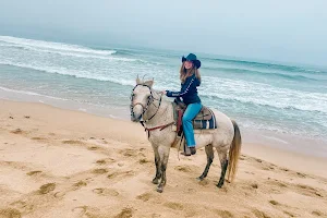 Beach Rides Monterey Bay Equestrian Center image