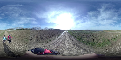 SCEA Domaine Guy Baudin et Fils à Pouilly-sur-Loire