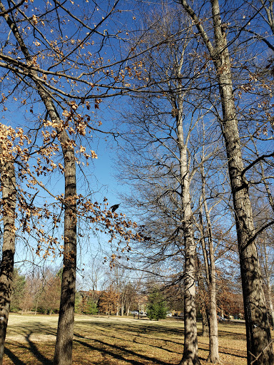 Park «Robsion Park», reviews and photos, Robsion Park Dr, Lyndon, KY 40222, USA