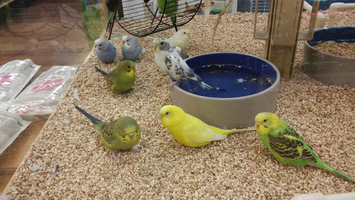 Pet Supply Store «Pet Supermarket», reviews and photos, 3821 S Cobb Dr, Smyrna, GA 30080, USA