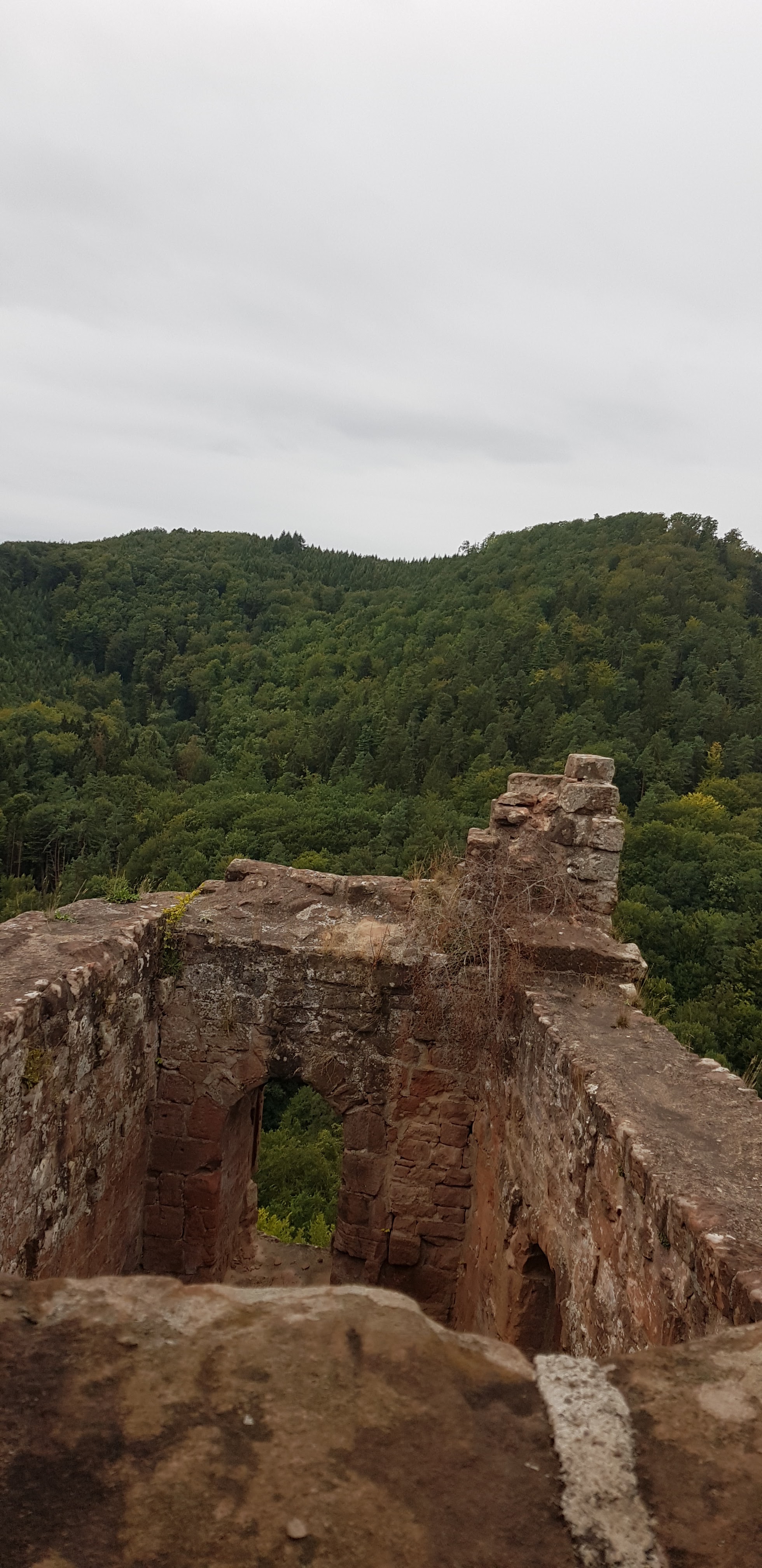 Photo n° 42 de l'avis de David.a fait le 28/08/2018 à 23:26