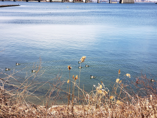 Park «Little Bay Park», reviews and photos, Cross Island Pkwy, Whitestone, NY 11357, USA