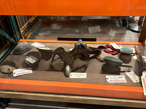 Museum «SKELETONS: Museum Of Osteology», reviews and photos, 8441 International Dr Suite 250, Orlando, FL 32819, USA