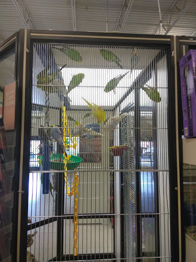 Pet Supply Store «PetSmart», reviews and photos, 475 Bank St, Waterbury, CT 06708, USA