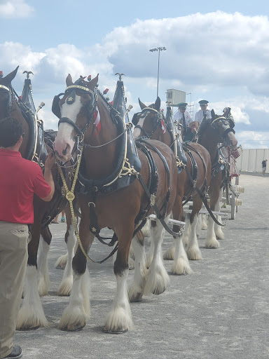 Casino «Miami Valley Gaming», reviews and photos, 6000 OH-63, Lebanon, OH 45036, USA