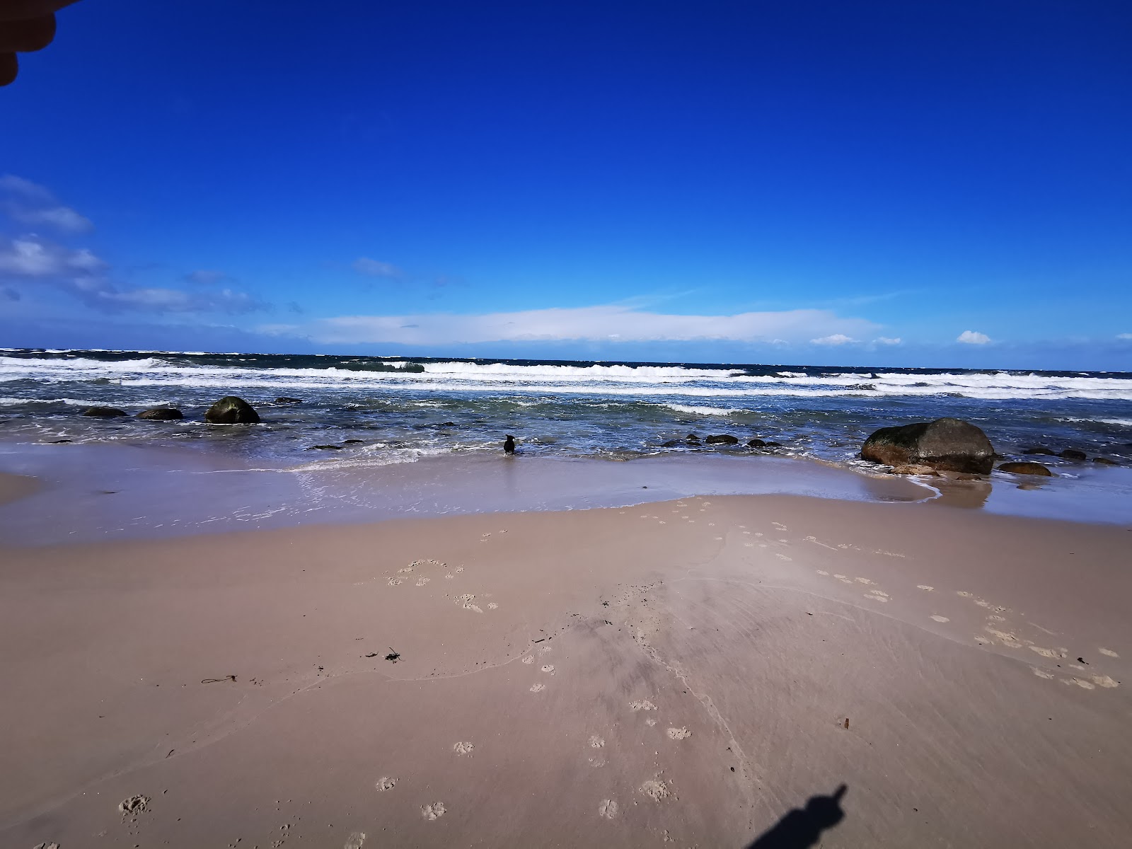 Antoinette Beach photo #8