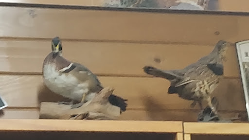 Outdoor Sports Store «Kittery Trading Post», reviews and photos, 301 US-1, Kittery, ME 03904, USA