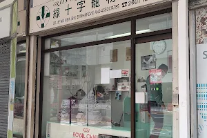 Green Cross Veterinary Clinics (Shatin Branch) 沙田綠十字寵物診所 image