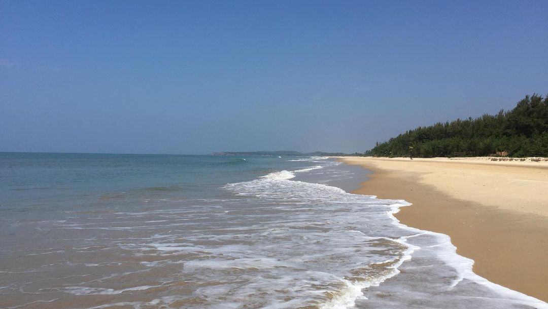 Foto de Dhareshwar beach ubicado en área natural