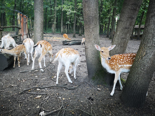 Kastélypark - Békéscsaba