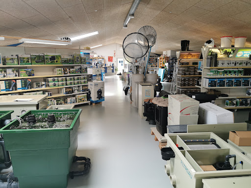 Koishop and Have in Ringsted, Ringsted