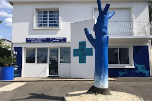 Blue Cedar Veterinary Clinic image