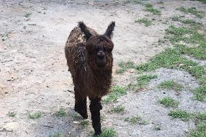 Yellow River Wildlife Sanctuary