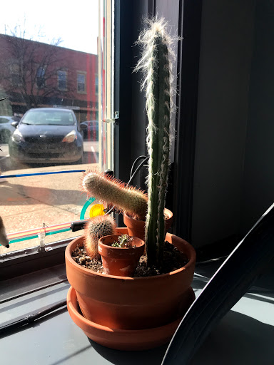 Tattoo Shop «Time & Tide Tattoo», reviews and photos, 103 W 6th St, Bloomington, IN 47404, USA