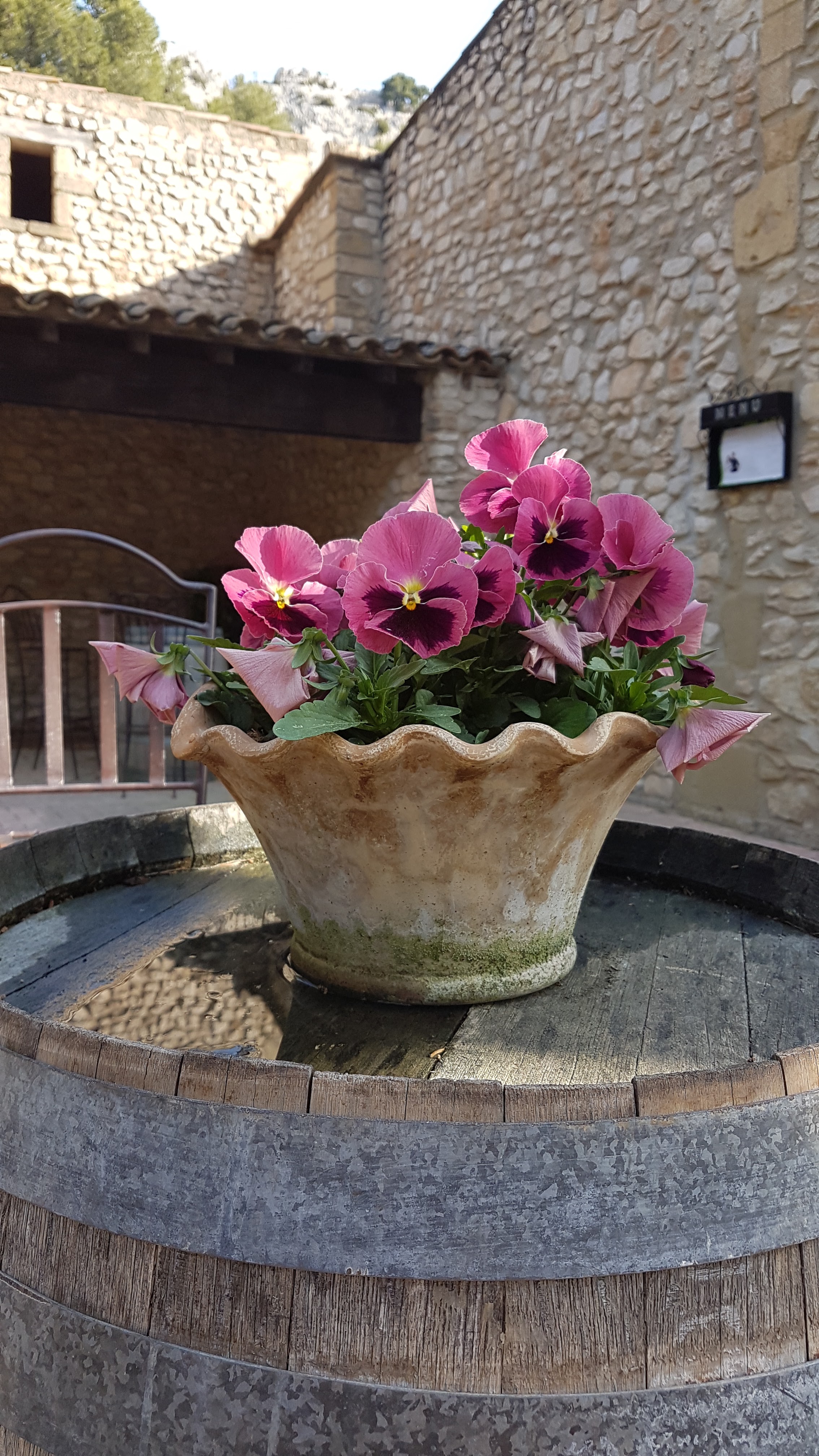 Photo n° 15 de l'avis de sandy.a fait le 22/04/2019 à 08:33