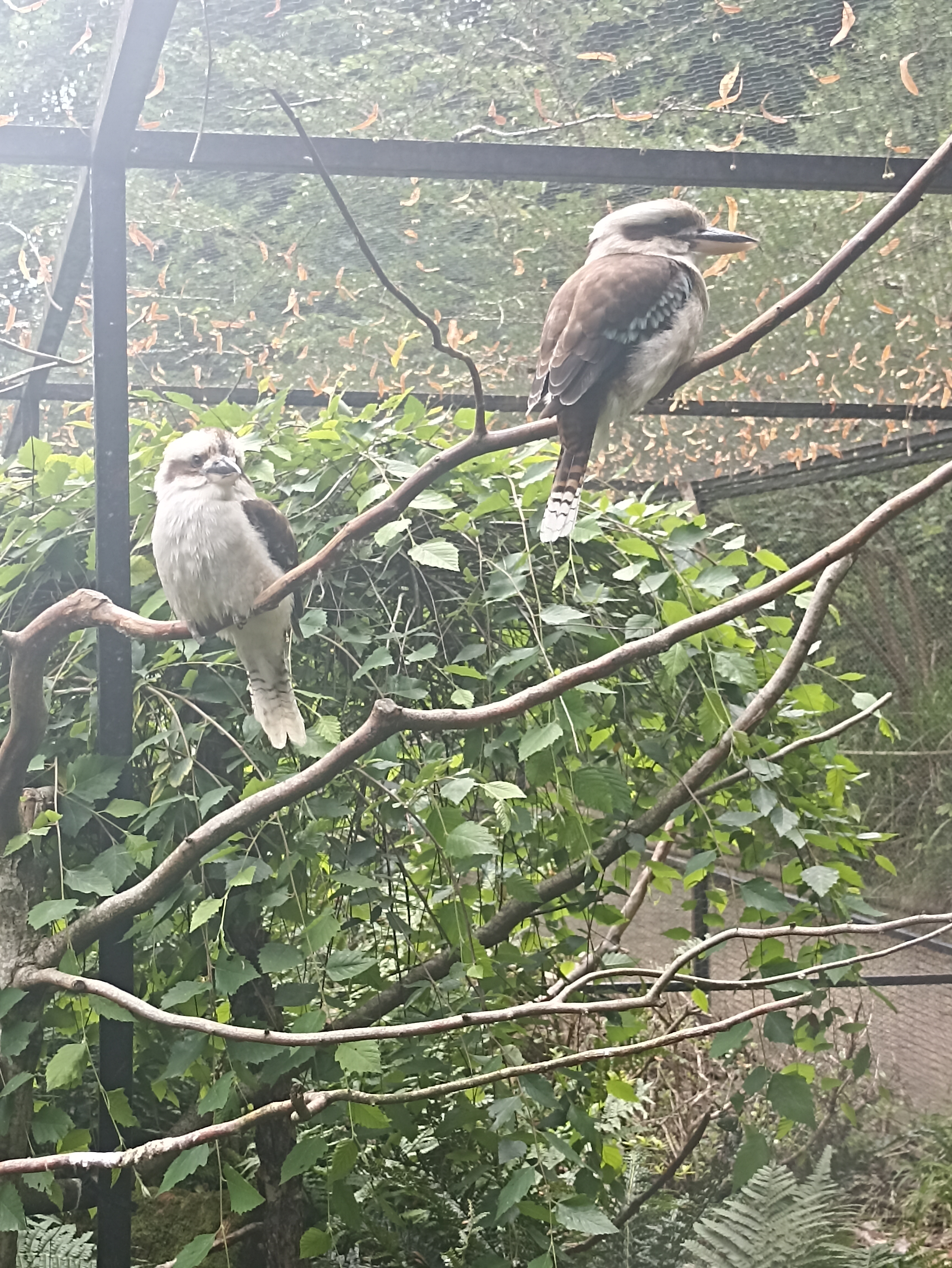 Photo n° 20 de l'avis de INGRID.. fait le 01/05/2023 à 21:03