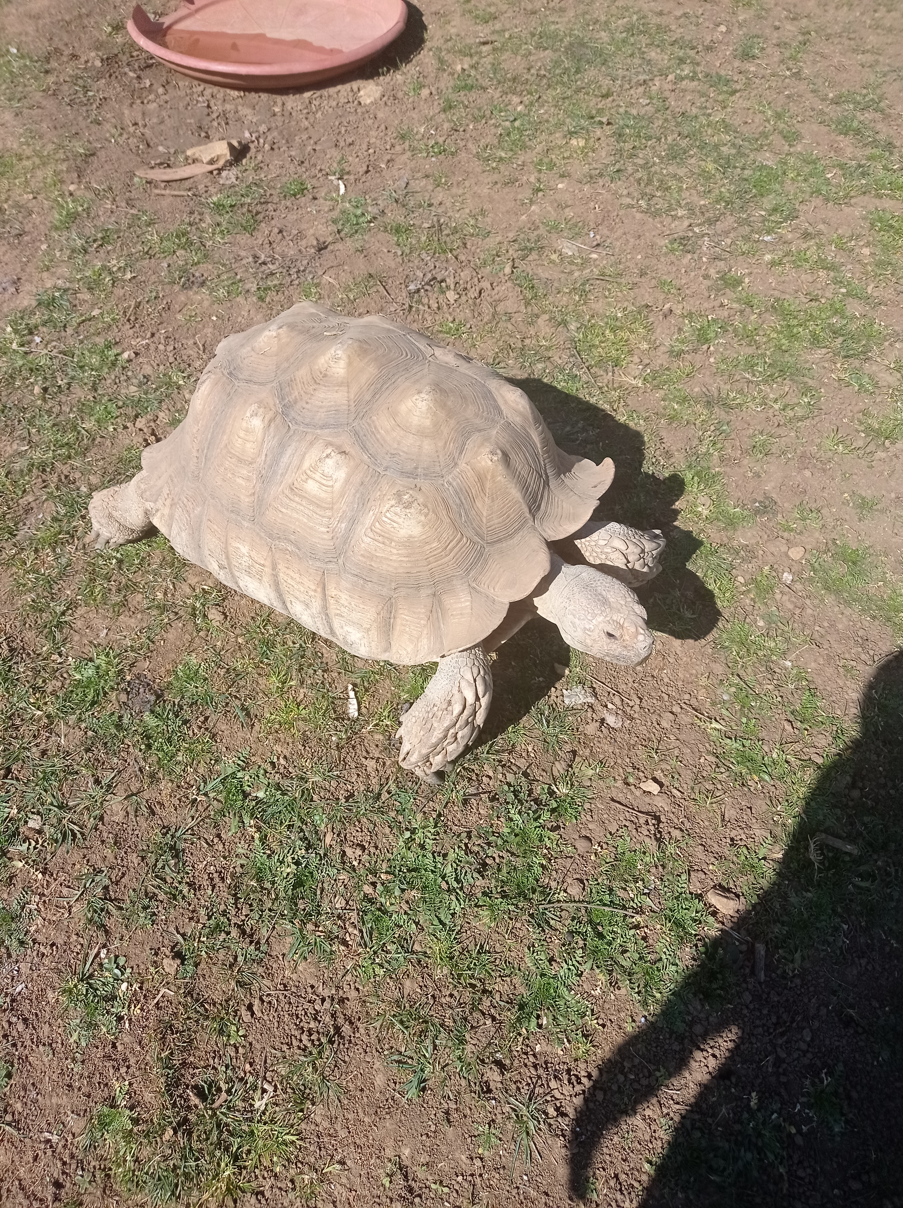 Photo n° 4 de l'avis de maud.a fait le 17/02/2023 à 16:44