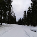 Photo n°8 de l'avis de Tiziana.a fait le 02/01/2023 à 18:05 sur le  Albergo Malga Ciapela à Rocca Pietore