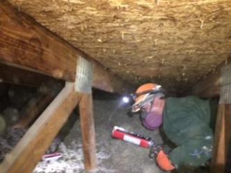 Insulation Contractor «DeVere Insulation Home Performance», reviews and photos