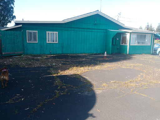 Produce Market «Fruit Basket 1», reviews and photos, 24101 Arnold Dr, Sonoma, CA 95476, USA