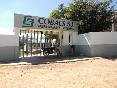 COBAES 53
