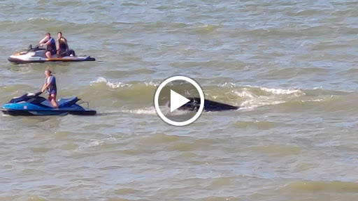 Winery «Old Firehouse Winery», reviews and photos, 5499 Lake Rd E, Geneva, OH 44041, USA