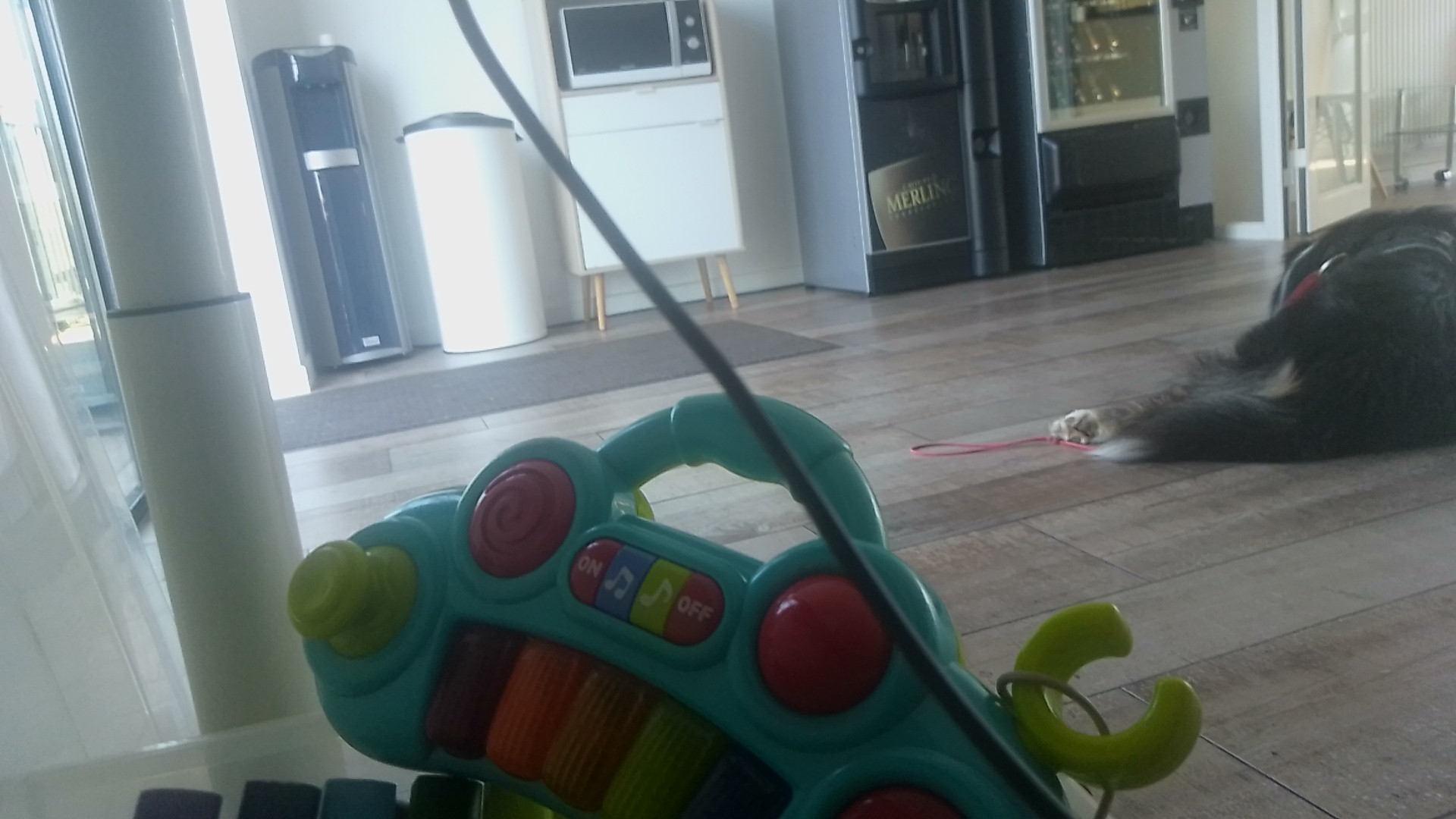 Photo n° 1 de l'avis de Cécile.u fait le 21/08/2023 à 15:22