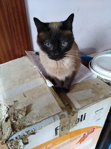 Rioja Centro Veterinario en Logroño