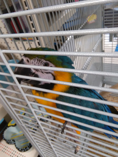 Pet Store «Fish Bowl», reviews and photos, 2117 E Race Ave, Searcy, AR 72143, USA