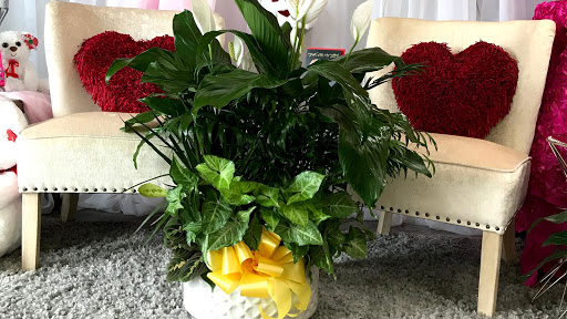 Florist «Artistic Florist Of Tampa», reviews and photos, 2509 W Busch Blvd, Tampa, FL 33618, USA