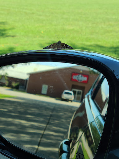 Tack Shop «Bedford Tack», reviews and photos, 148 Edd Joyce Rd, Bell Buckle, TN 37020, USA