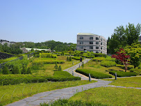 Picture Perfect Lawn Maintenance Inc. - Photo 8 - Car repair in , Burlington