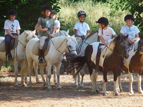 Domaine Equestre De La Tireloubie à Segonzac
