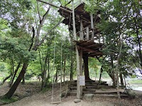 ツリーハウスの森