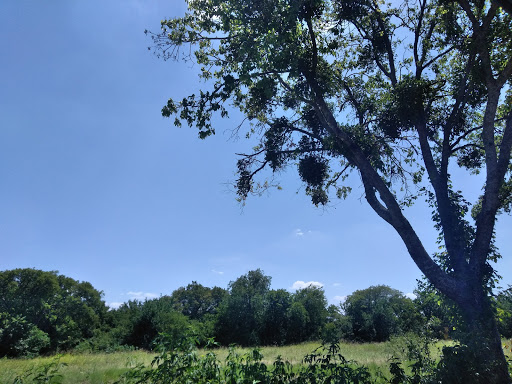 Park «Northwest Community Park», reviews and photos, 8575 Blue Mound Rd, Fort Worth, TX 76137, USA