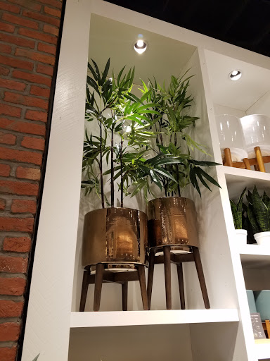 Furniture Store «west elm», reviews and photos, 5307 E Mockingbird Ln #100, Dallas, TX 75206, USA