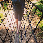 Photo n°3 de l'avis de P... fait le 07/08/2022 à 19:41 sur le  Barfußpark Lüneburger Heide in Egestorf à Egestorf